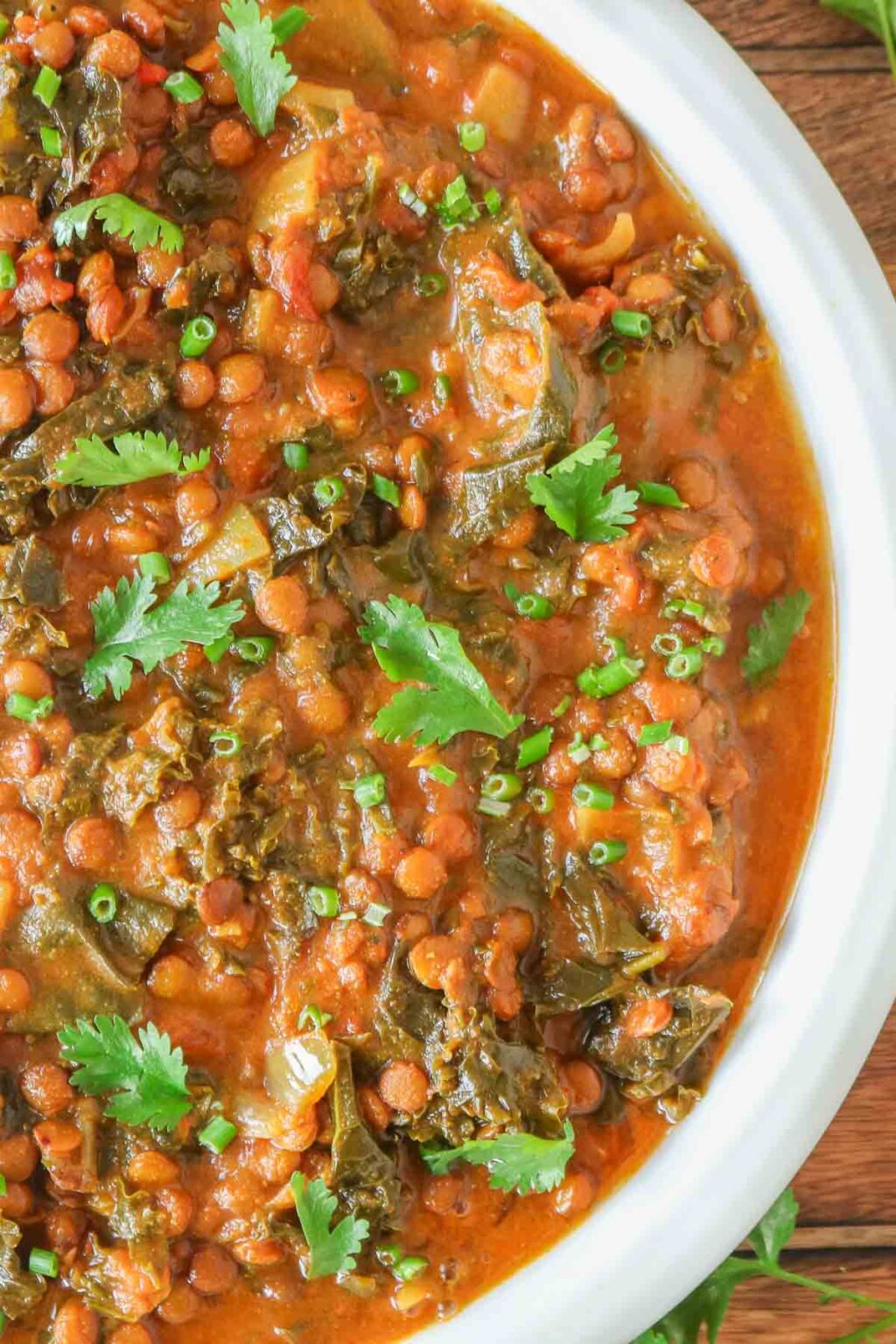 Curried Green Lentils (Slow Cooker Lentils) Girl Heart Food®