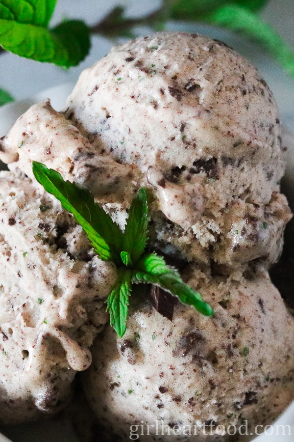 Close-up of mint chocolate banana ice cream garnished with fresh mint.