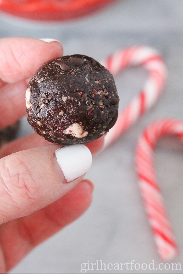 Hand holding a chocolate peppermint snack bite.