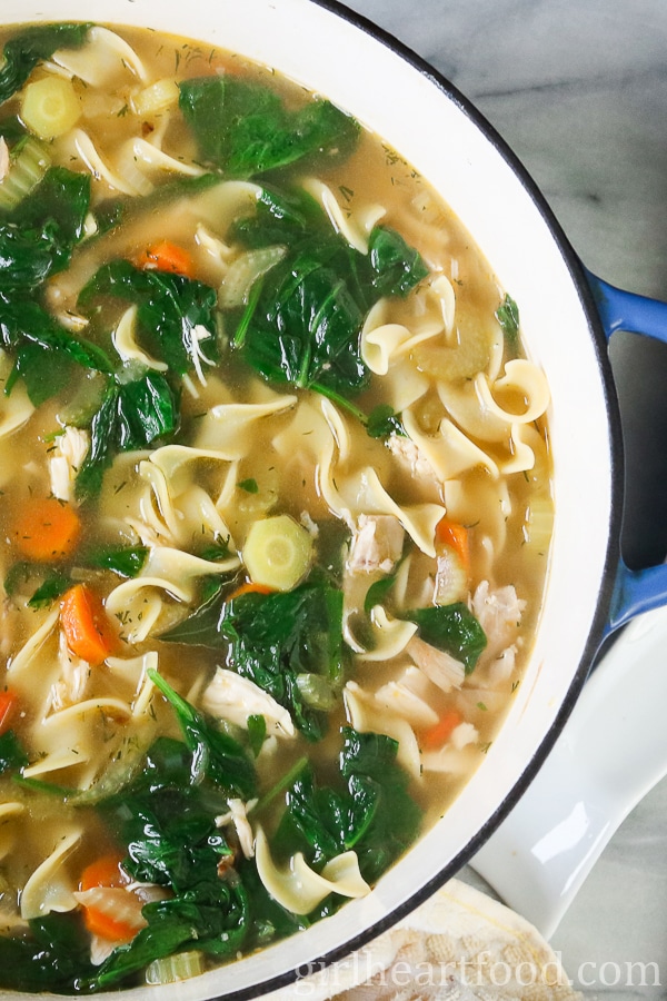 Pot of chicken noodle soup with spinach.