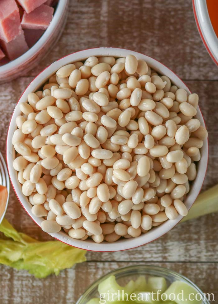 Bowl of uncooked white beans.