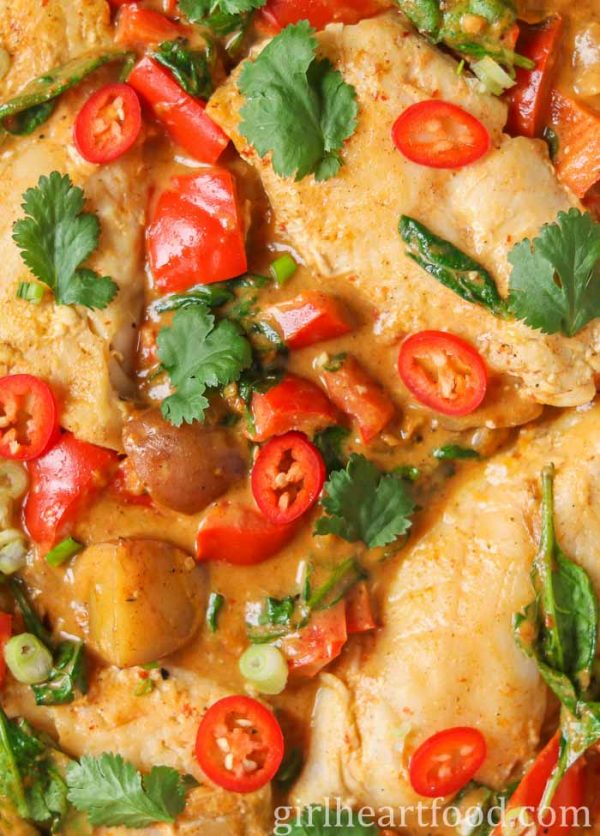 Fish Curry With Coconut Milk | Girl Heart Food®