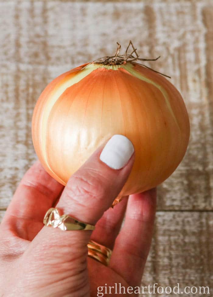 Hand holding an unpeeled yellow onion.