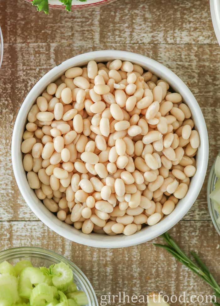 Bowl of uncooked navy beans.
