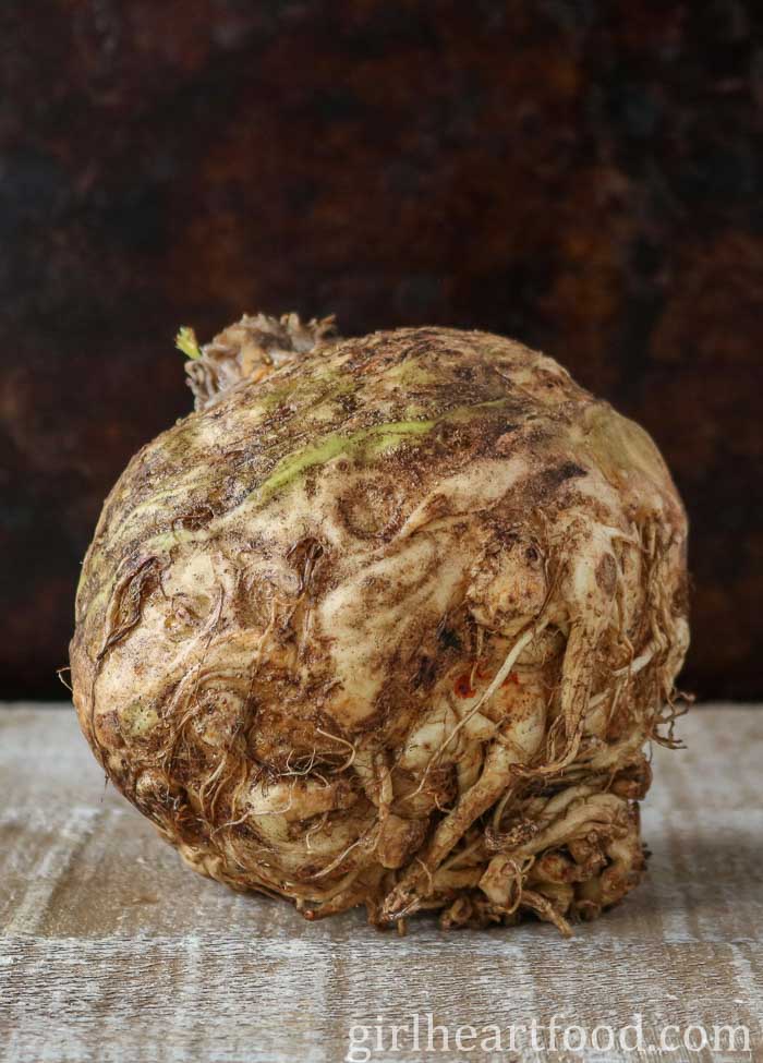 A bulb of uncooked and unpeeled celery root.