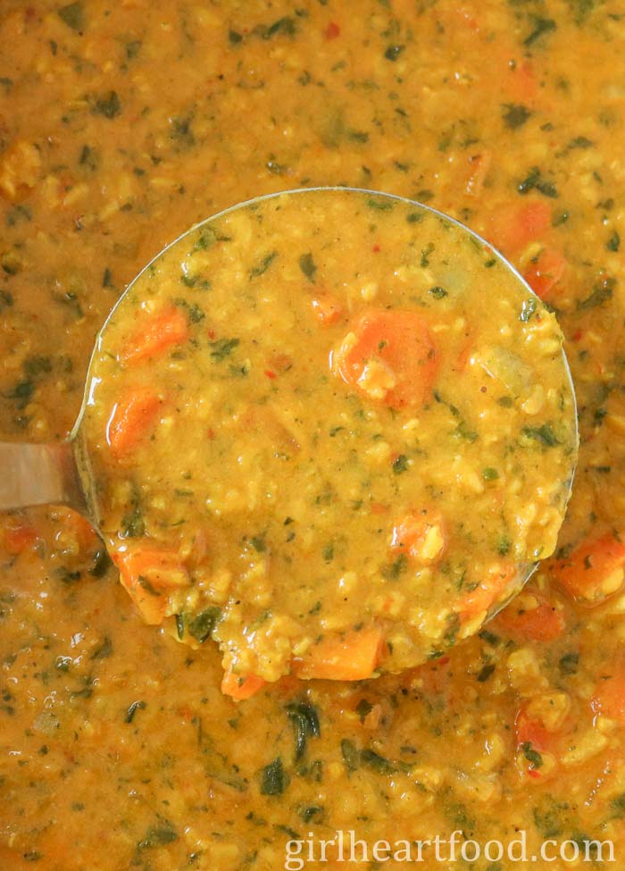 Close-up of a ladle of moong bean soup.