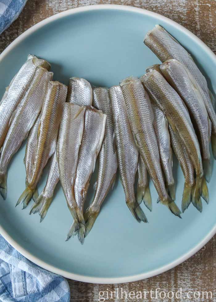 Smelt fish on a blue plate before being cooked.