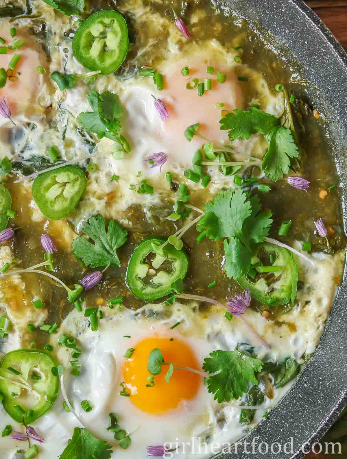 Close-up of a pan of salsa eggs garnished with sliced jalapeno, herbs, and microgreens.