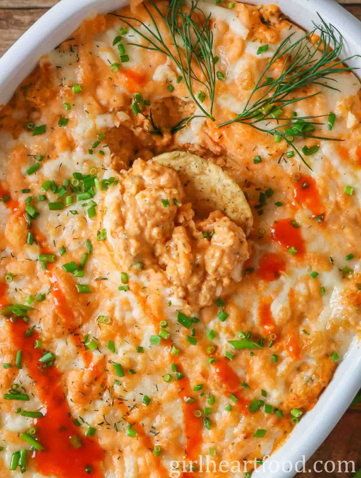 Round tortilla chip dunked into buffalo dip.