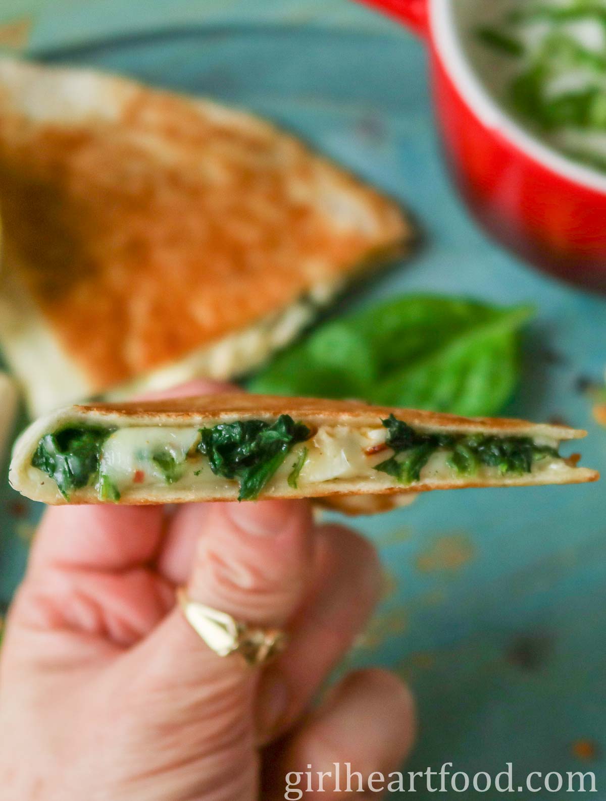 Hand holding a quesadilla made with spinach and cheese.