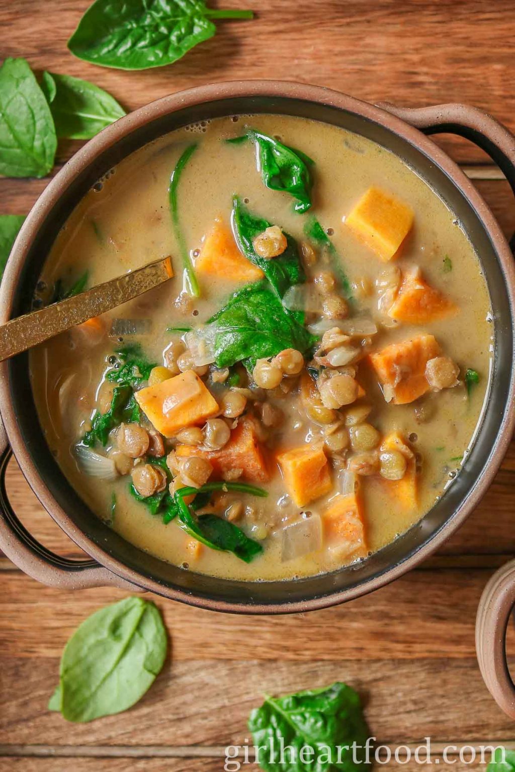 Green Lentil Soup With Coconut Milk and Veggies | Girl Heart Food®