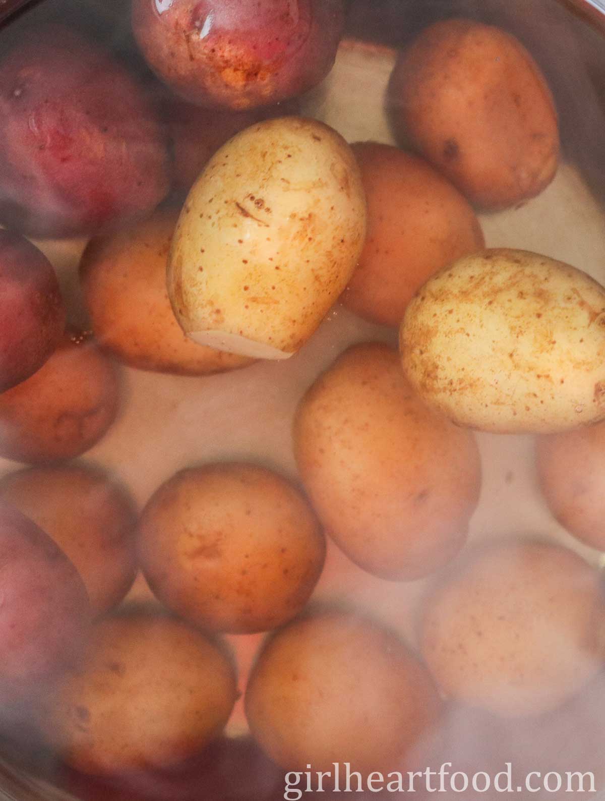 Close-up of baby potatoes cooking in a pot of water.