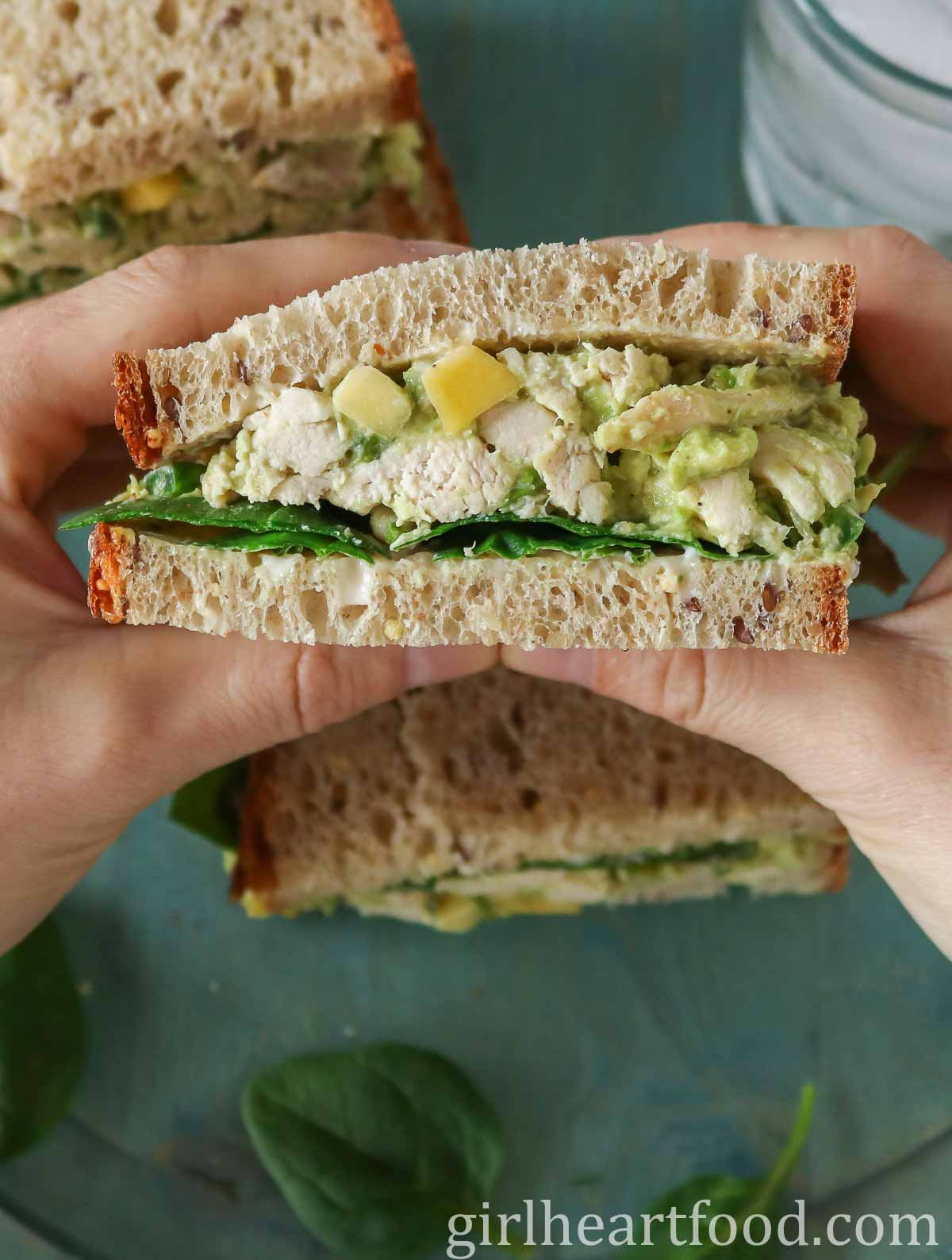 Two hands holding half of a chicken avocado salad sandwich.