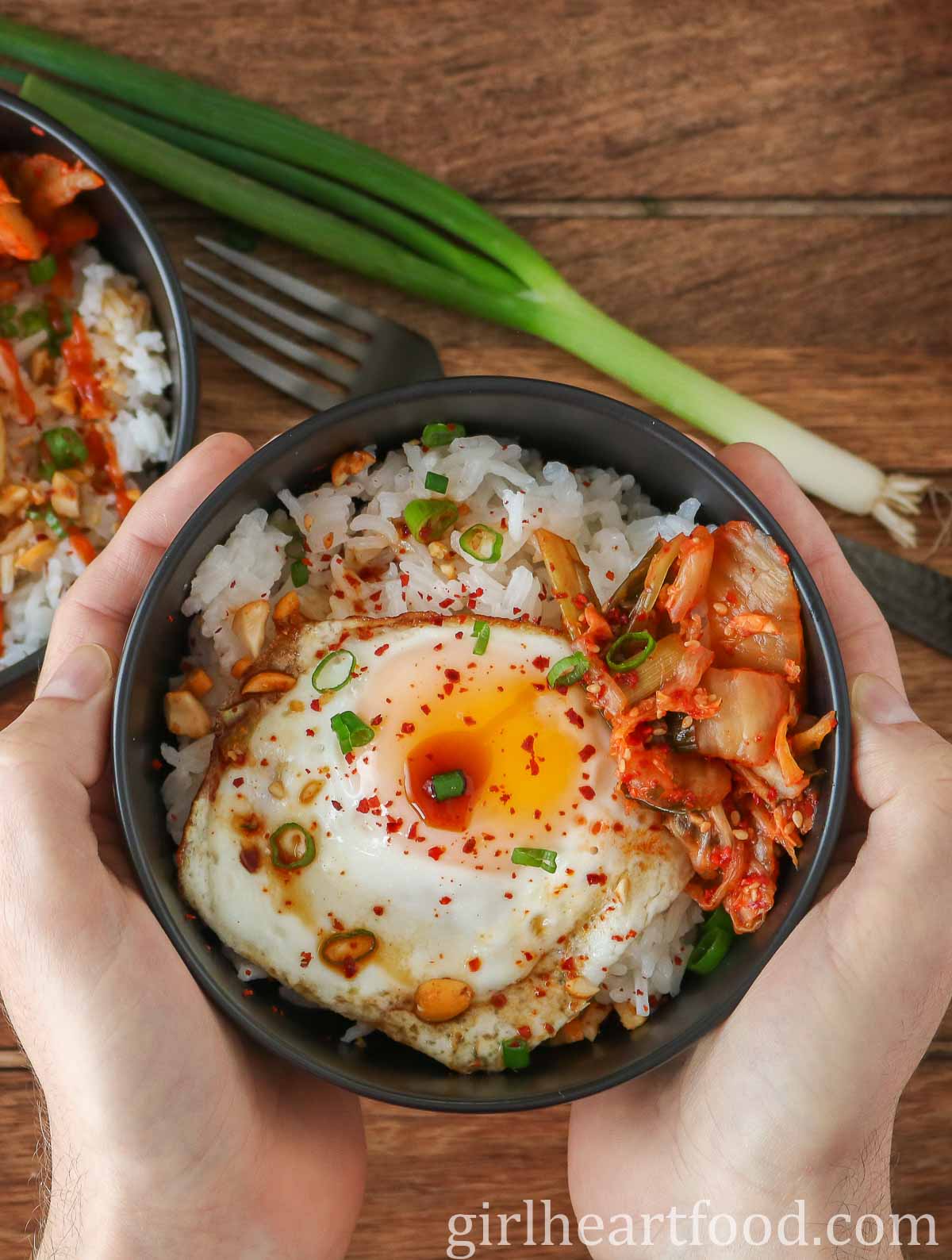 Two hands holding a fried egg and rice bowl.