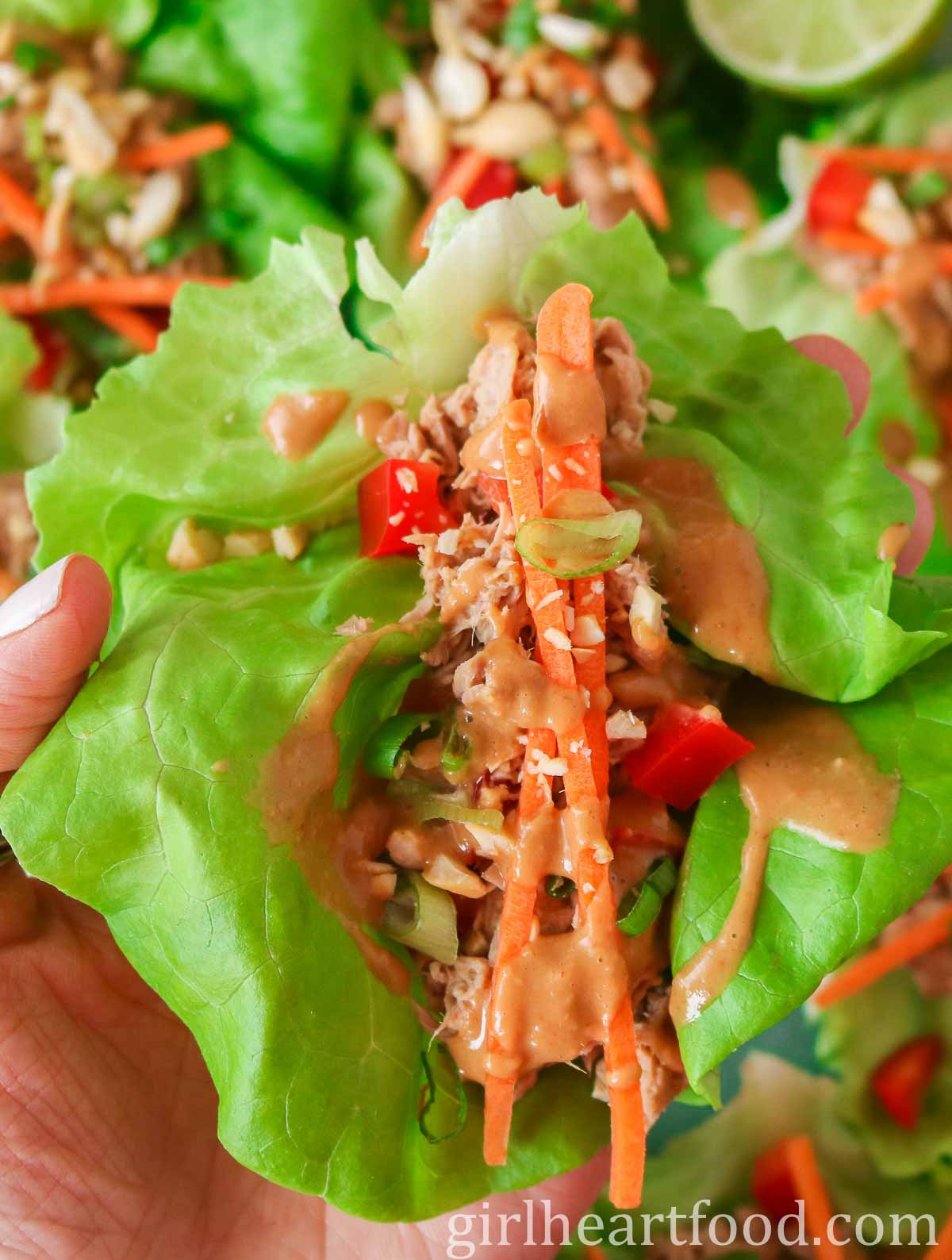 Hand holding a tuna lettuce wrap with peanut sauce.