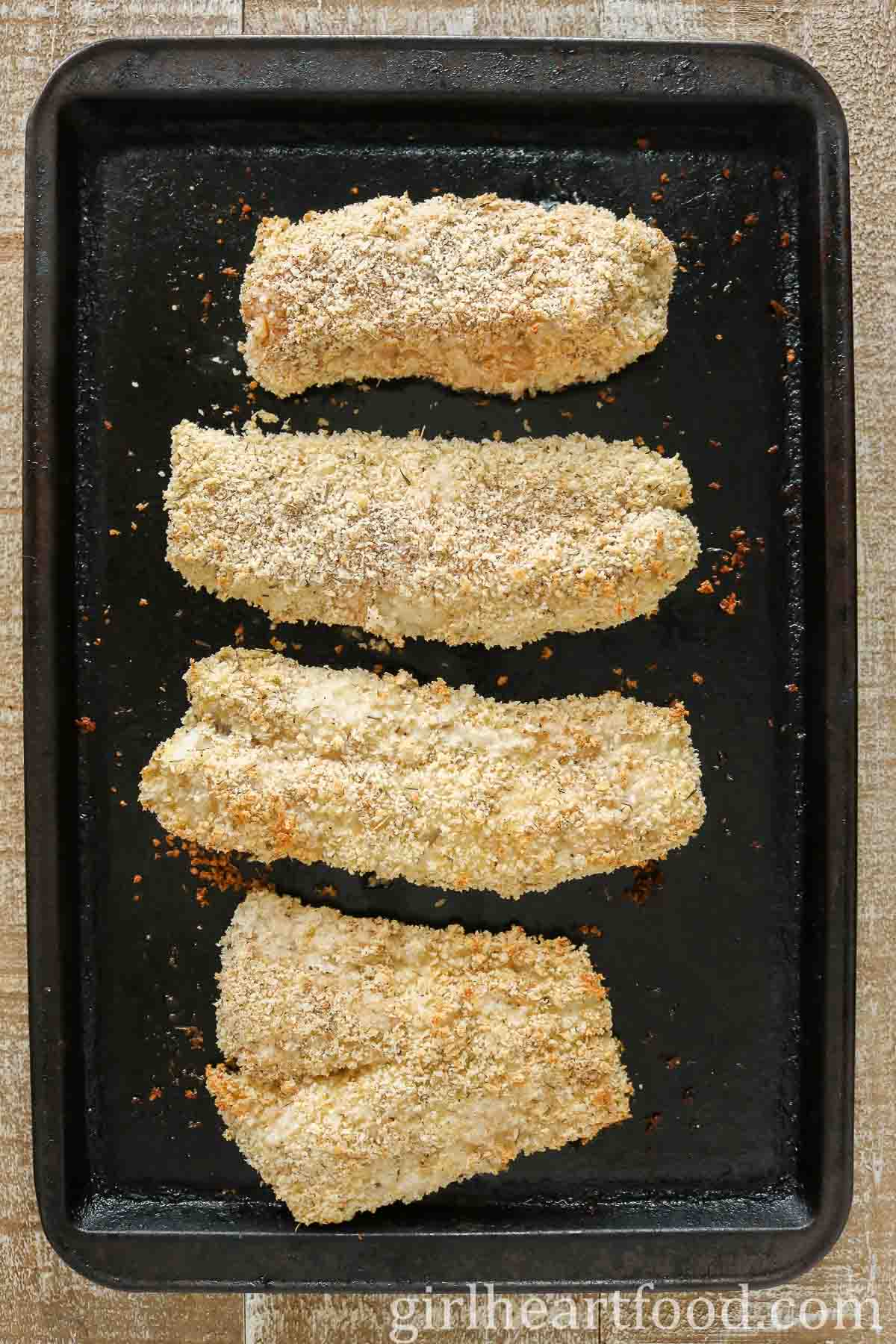 Four panko-coated cod fillets on a sheet pan after baking.