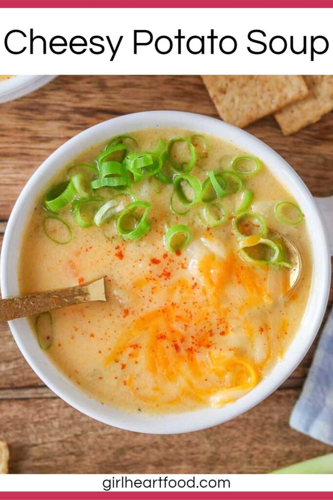 Bowl of cheese and potato soup.