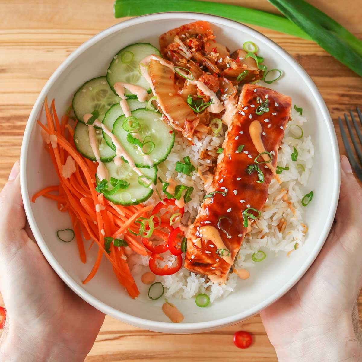 Two hands holding a salmon rice bowl.