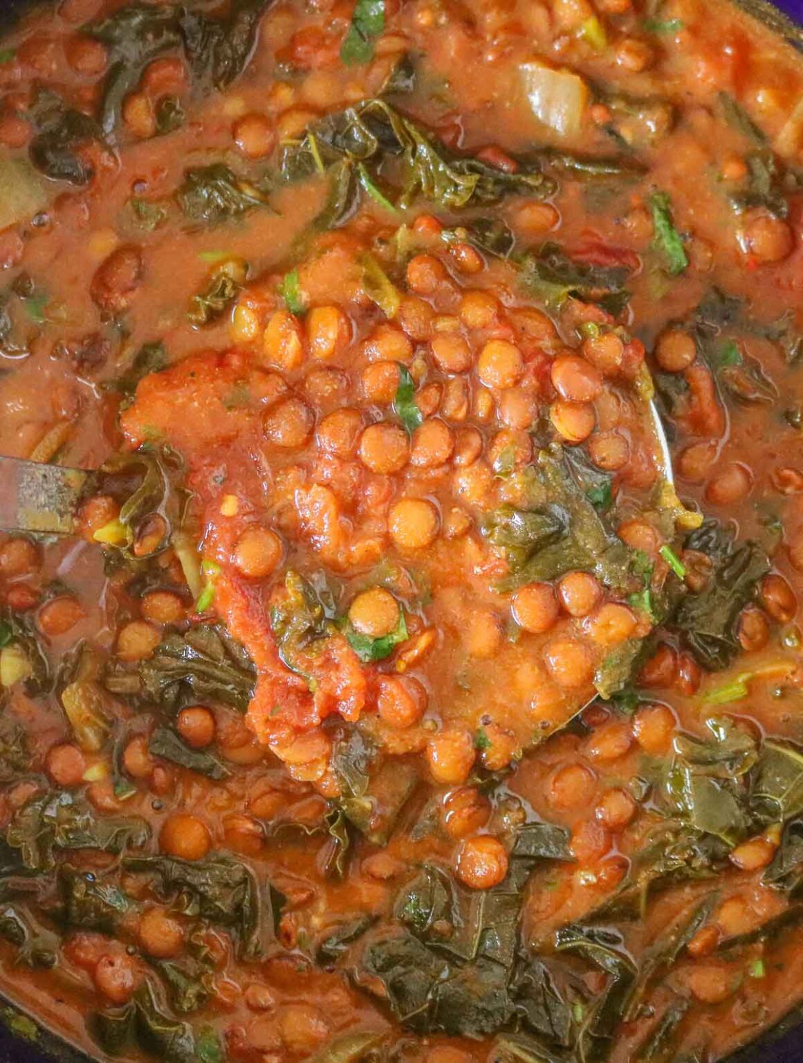 Curried Green Lentils (Slow Cooker Lentils) Girl Heart Food®