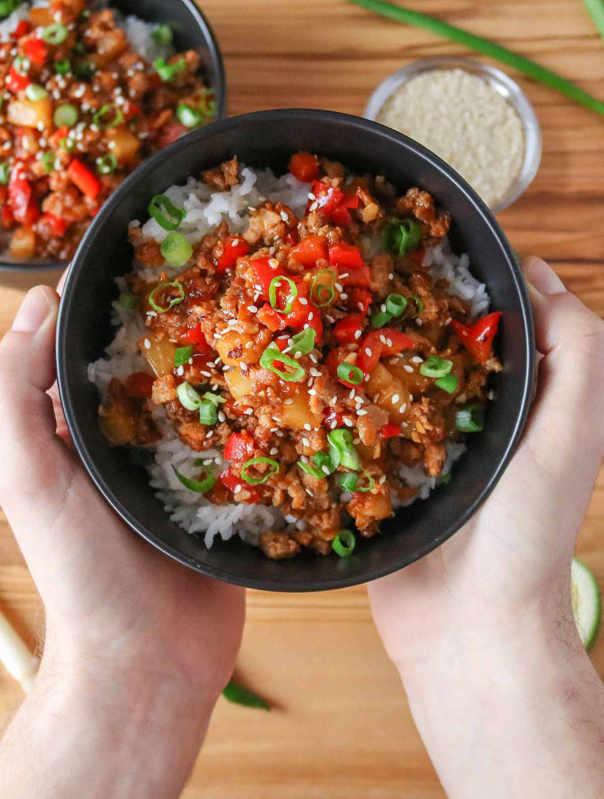 Two hands holding a ground chicken and rice bowl.