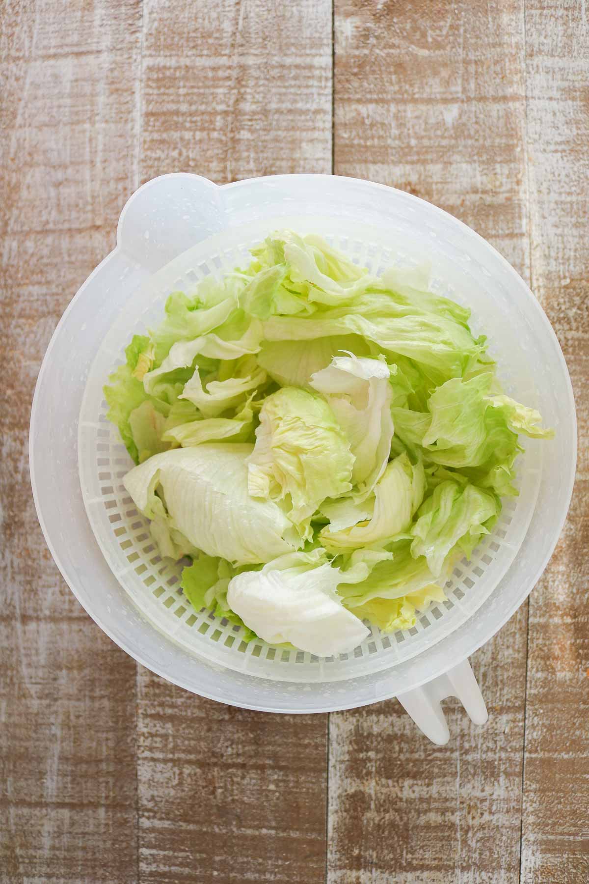 Iceberg lettuce in a salad spinner.