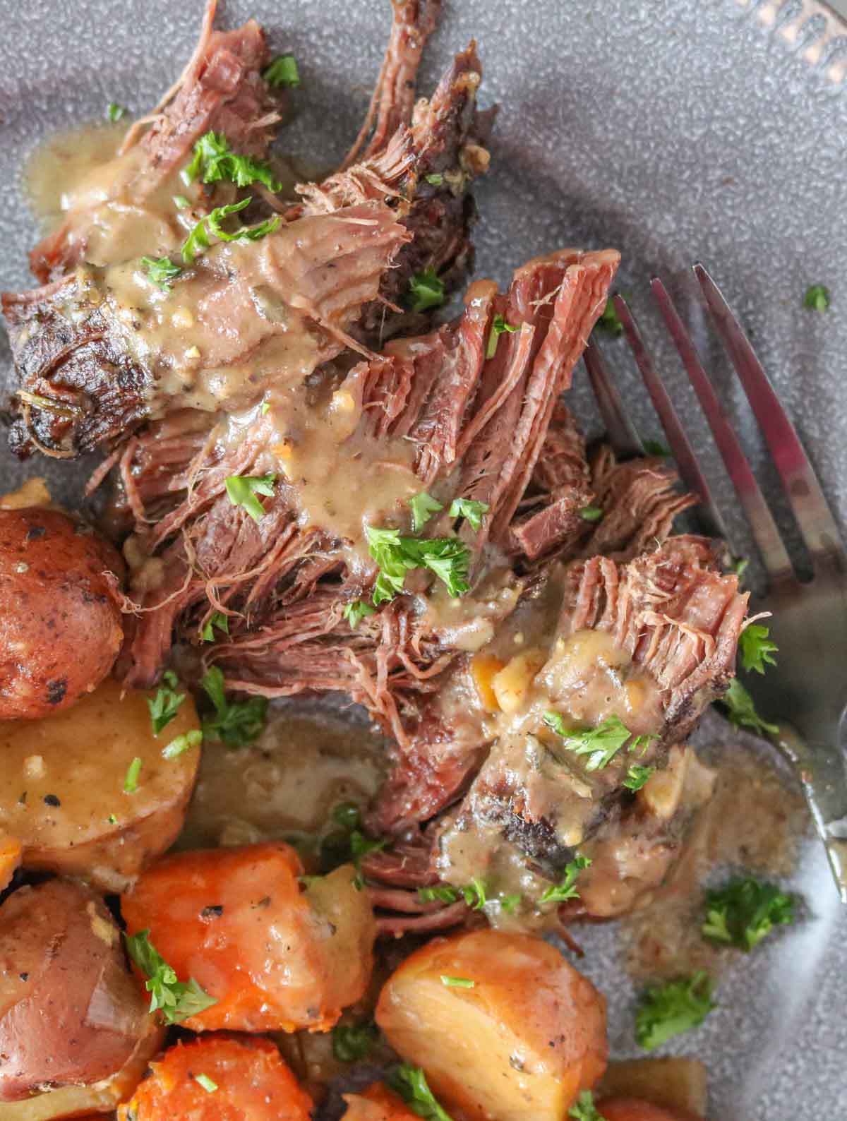 Close-up of a plate of moose meat and vegetables topped with parsley and gravy