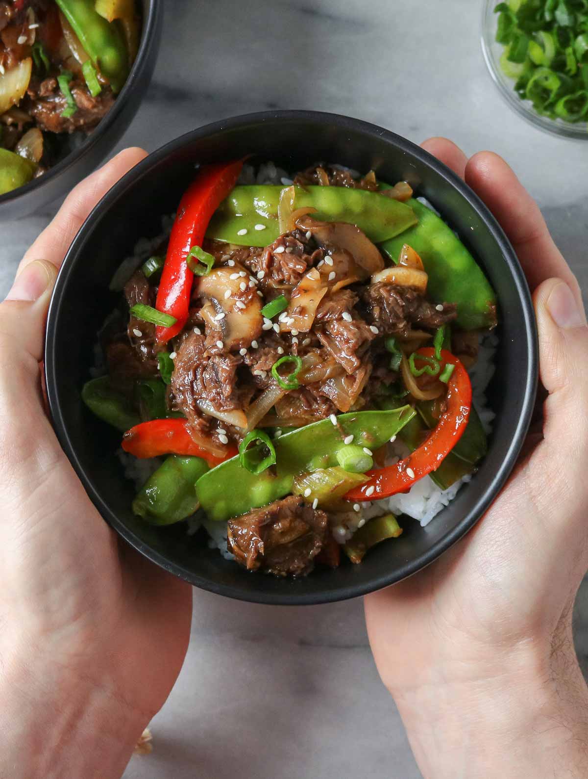 Two hands holding a bowl of moose stir-fry over rice.