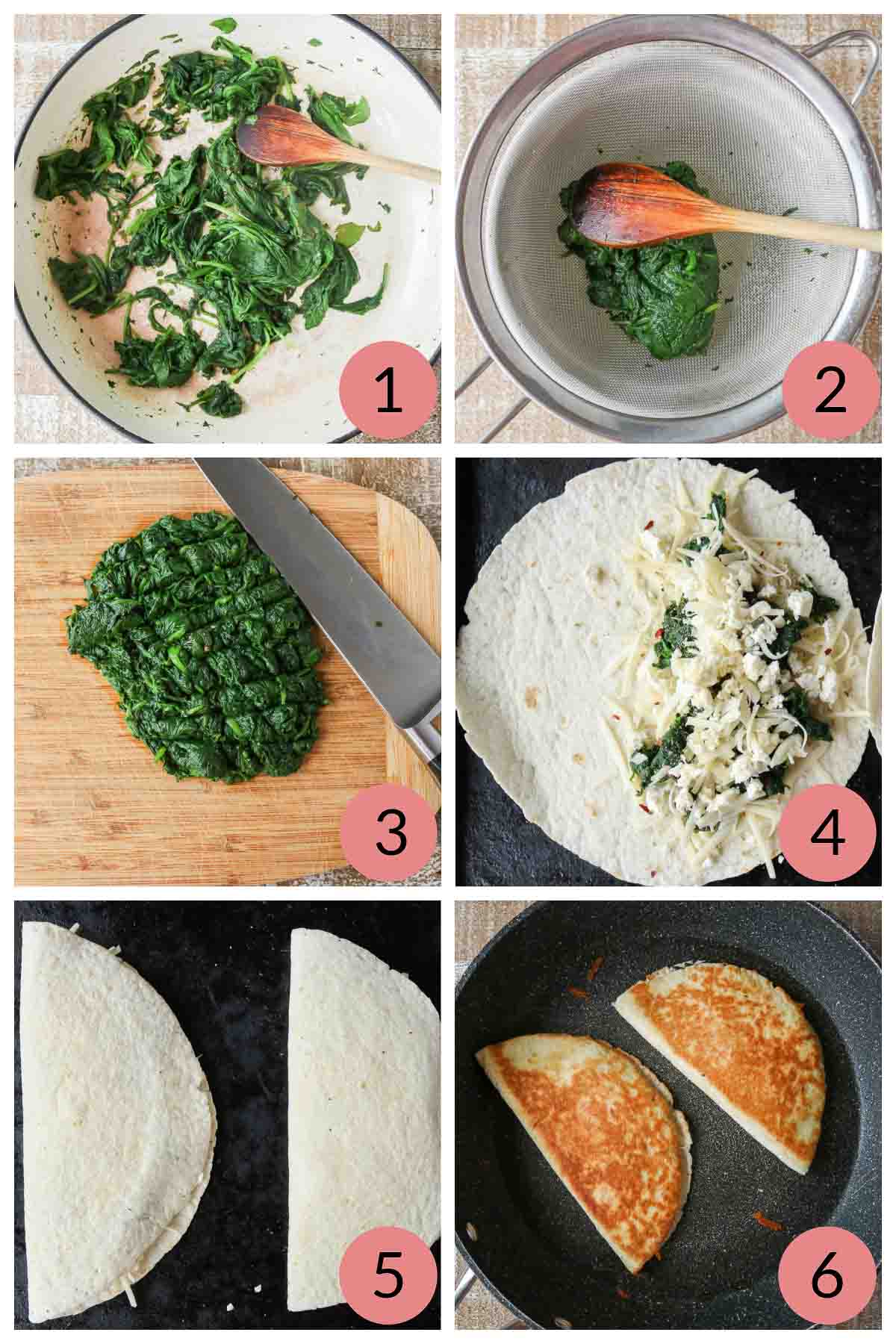 Collage of steps to make quesadillas with spinach and cheese.