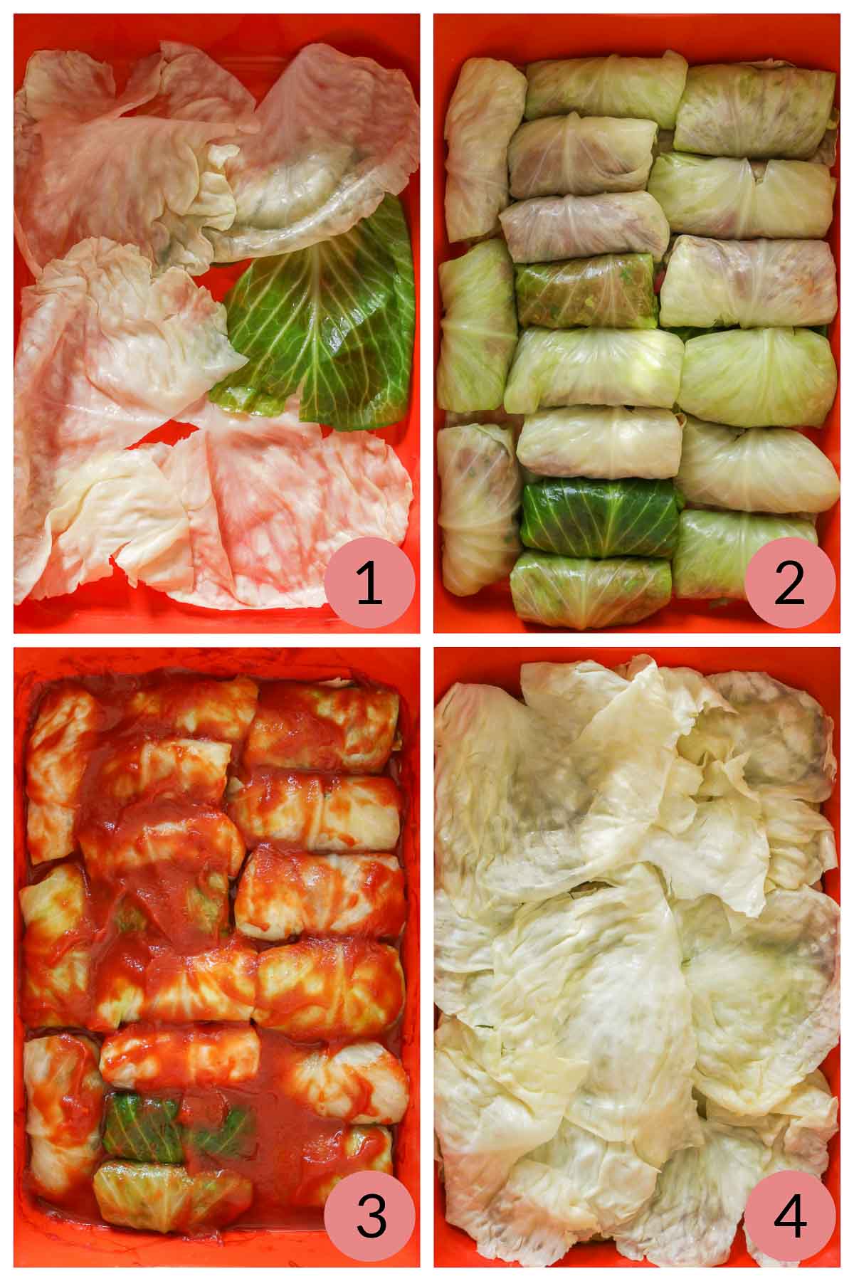 Collage of steps to assemble cabbage rolls and tomato sauce in a baking dish.