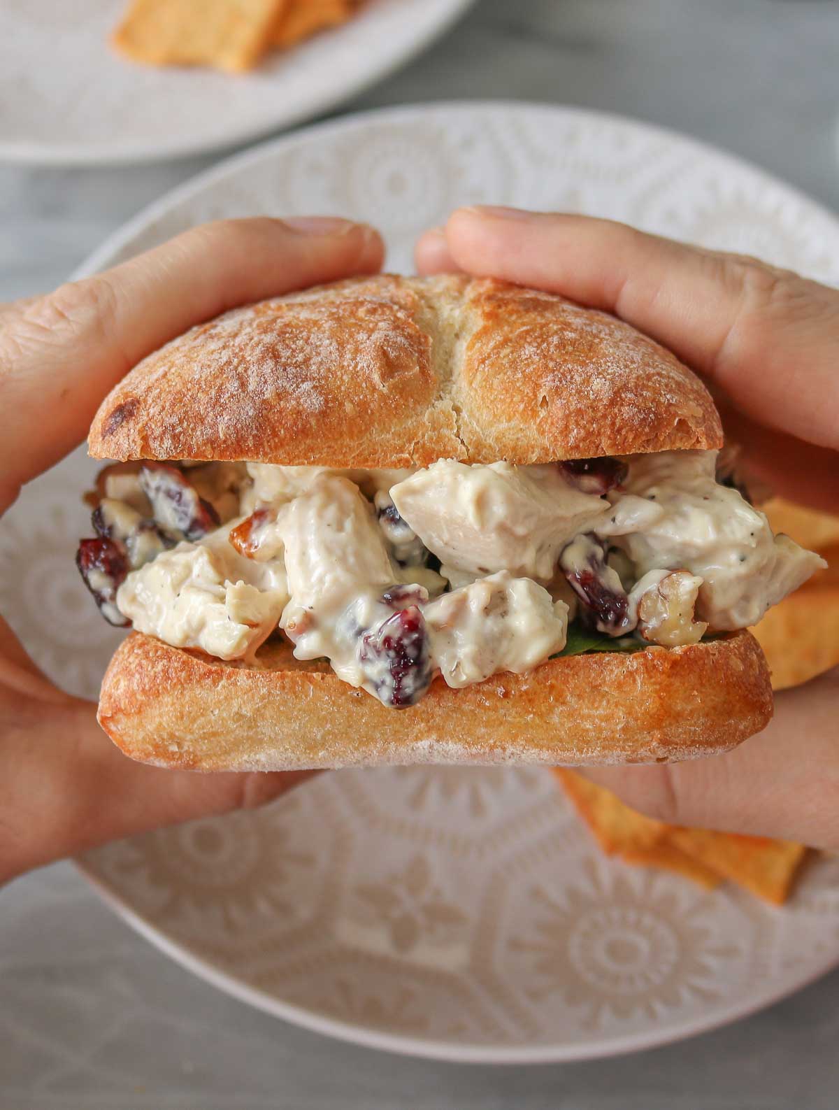 Two hands holding a chicken salad sandwich.