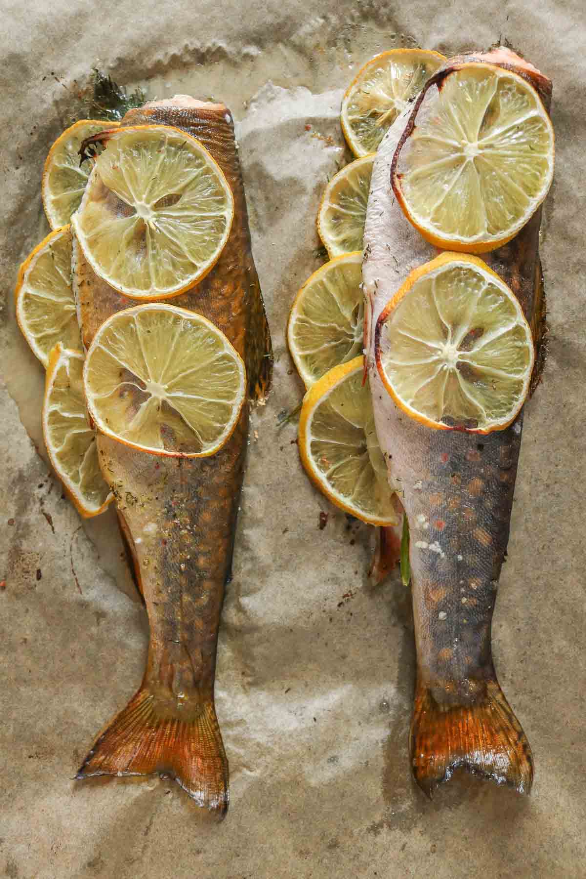 Two trout with lemon and dill on a parchment paper-lined sheet pan after baking.