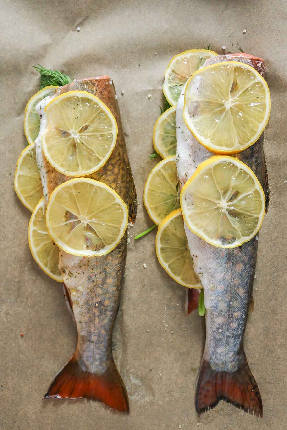Two trout with lemon and dill on a parchment paper-lined sheet pan before baking.