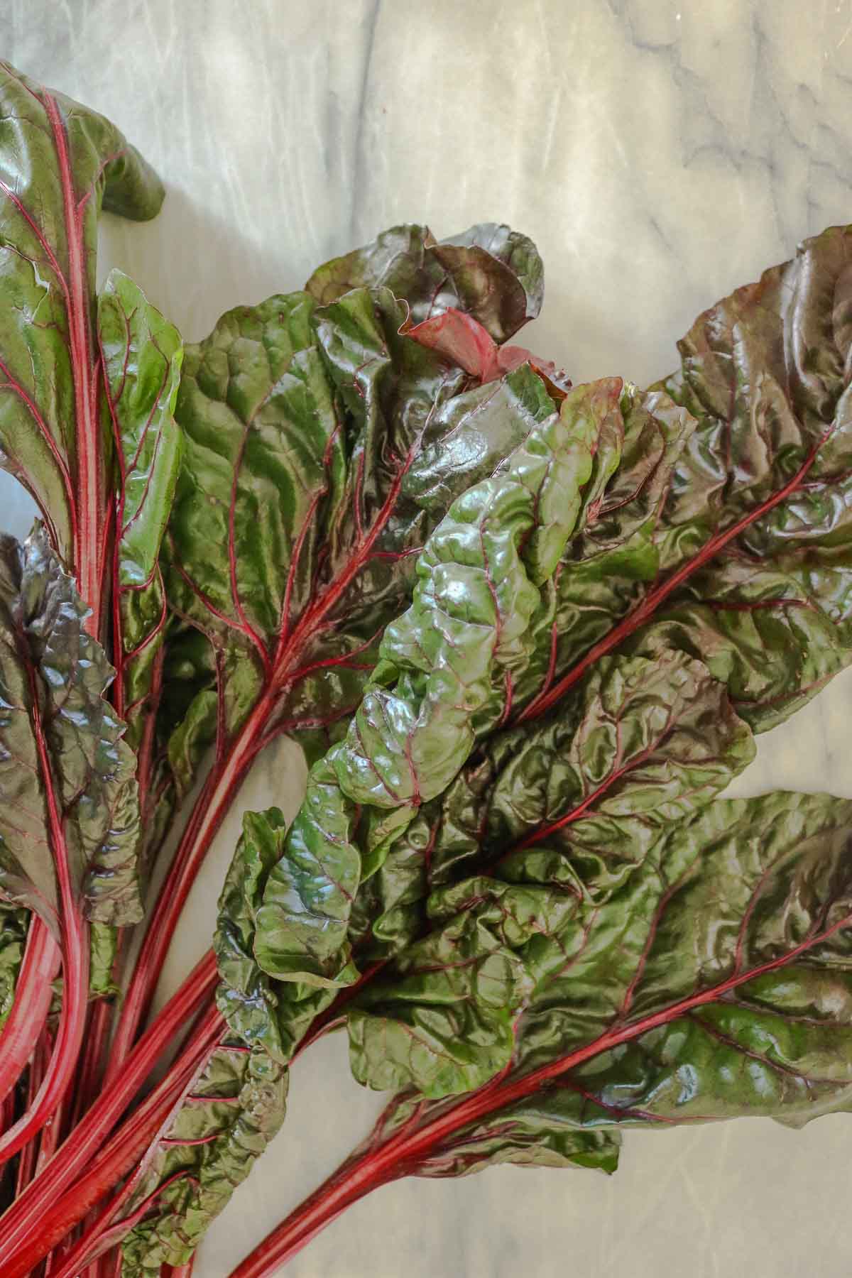 Bunch of fresh Swiss chard on a marble board.